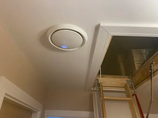 Mould Removal in St Helens